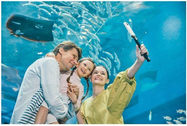 Productafbeelding RICOH Theta SC2 (30p, Bluetooth, WiFi)