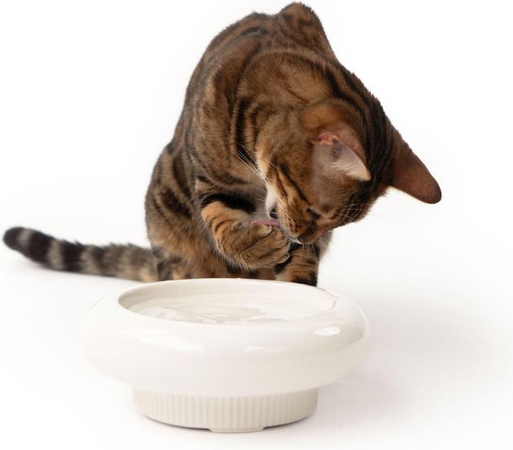 Image du produit LucyBalu MYCO Katzennapf