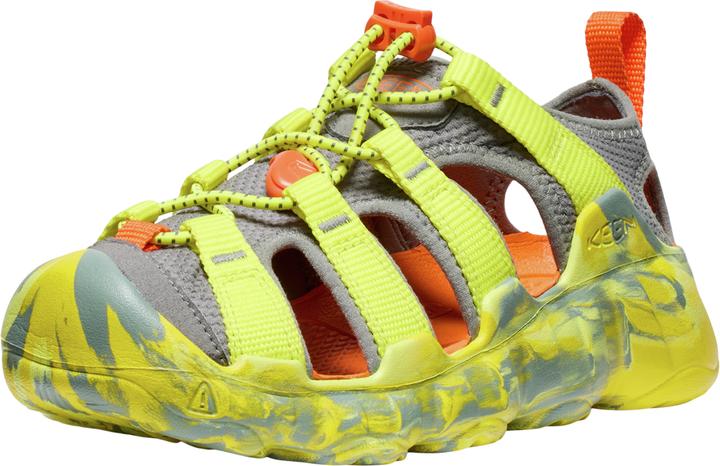 Evening primrose, Gelb, Grün, Steel Grey