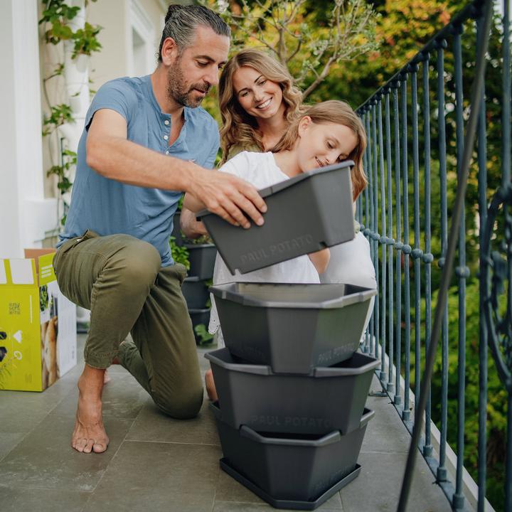 Actual product image Gusta Garden Paul Potato (38.80 cm)