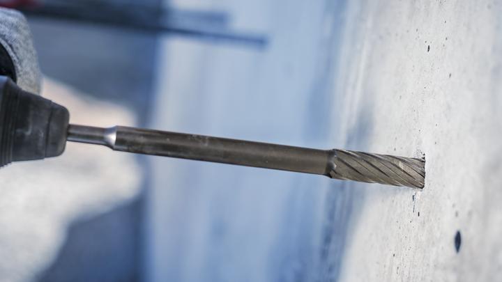 Image du produit Bosch Professional Zubehör Forets PRO SDS plus Rebar Cutter, 20 x 120 x 300 mm (20 mm)