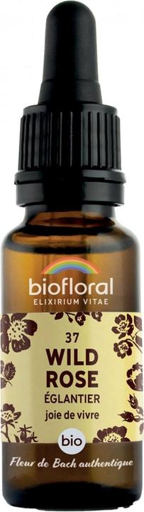 Actual product image Biofloral Elixir Wild Rose (20 ml)