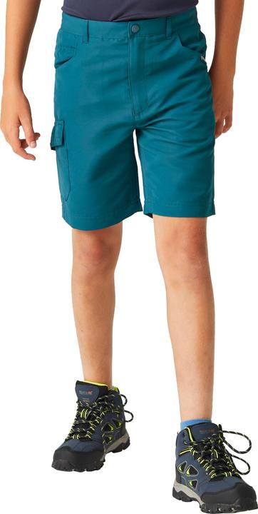 Actual product image Regatta Childrens/Kids Sorcer II Shorts (140)