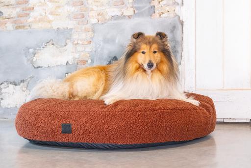 Immagine prodotto Designed by Lotte Divano letto a coste (Cane)