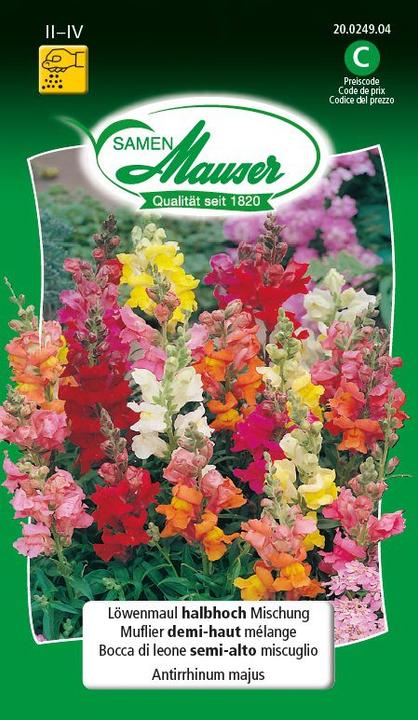 Actual product image Samen Mauser Snapdragon half high mixture (Plant seeds)
