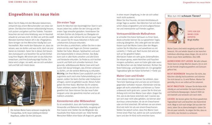 Produktbild Maine Coon (Deutsch, Birgit Kieffer, 2017)