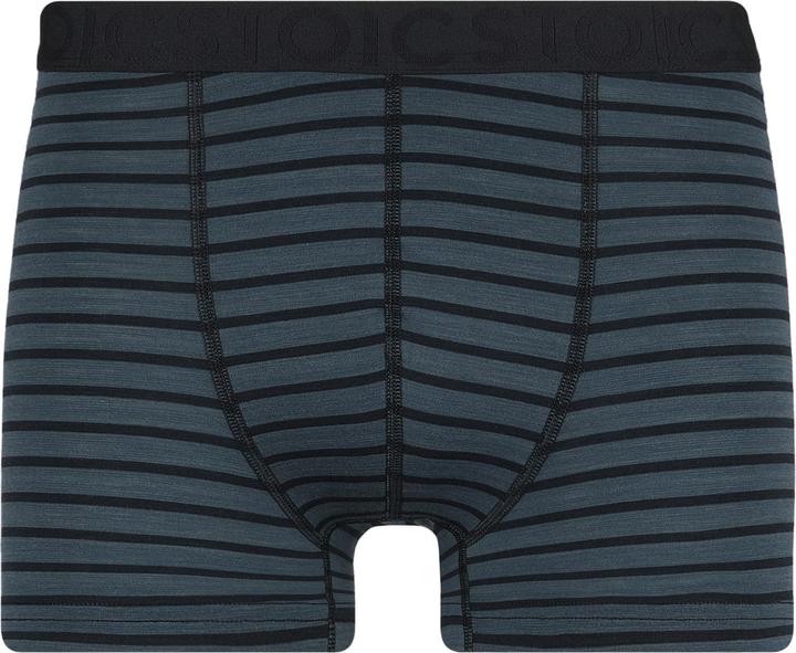 Gris ardoise, Noir rayé