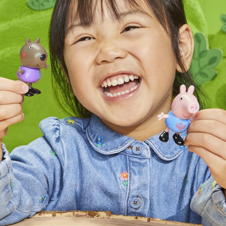 Actual product image Hasbro Peppas Playgroup playgroup