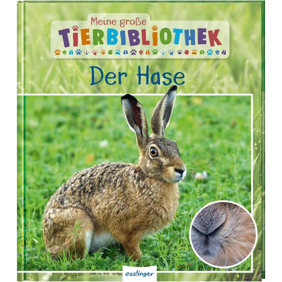 Meine grosse Tierbibliothek: Der Hase, Kinderbücher von Dr. Jens Poschadel