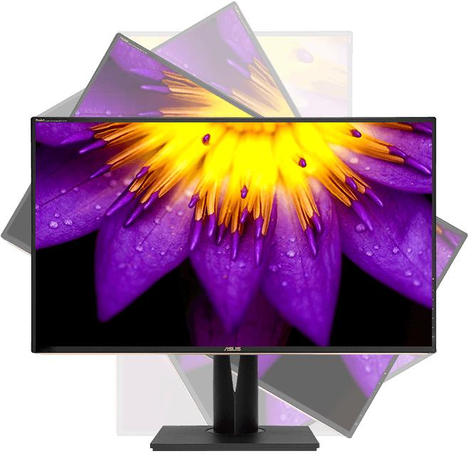Actual product image ASUS ProArt PA329C (3840 x 2160 Pixels, 32")