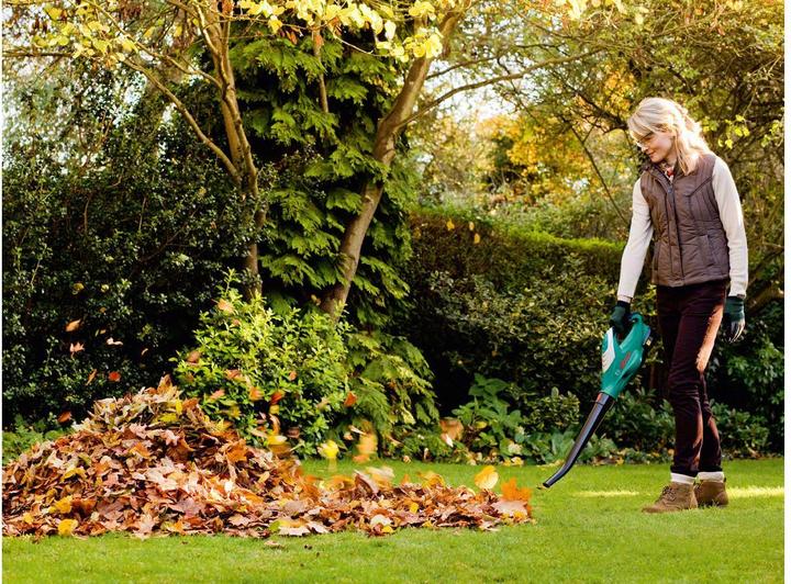 Image du produit Bosch Home & Garden Alb 18 (Fonctionnement sur batterie, Souffleur de feuilles)