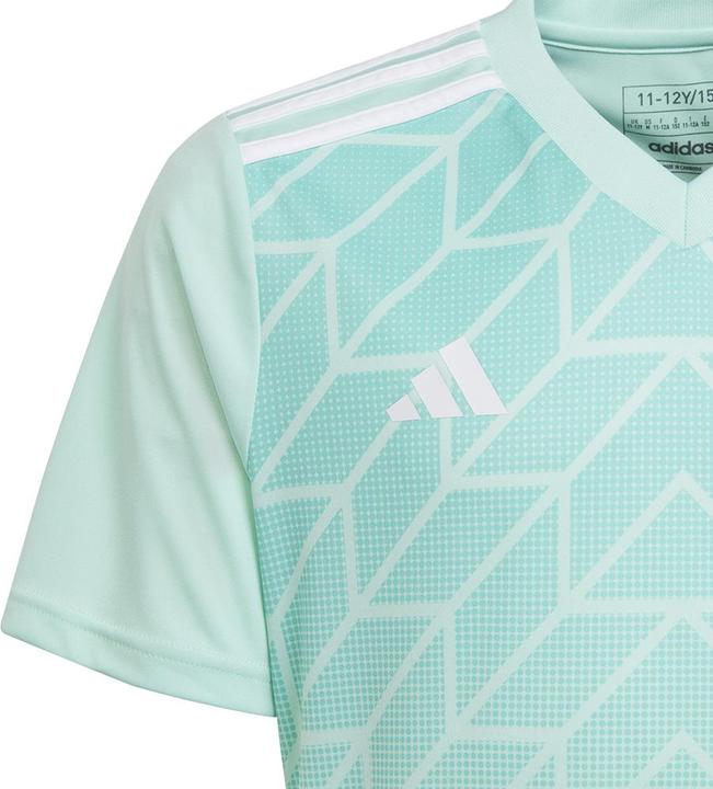 Produktbild adidas Team Icon 23 Trikot (116)