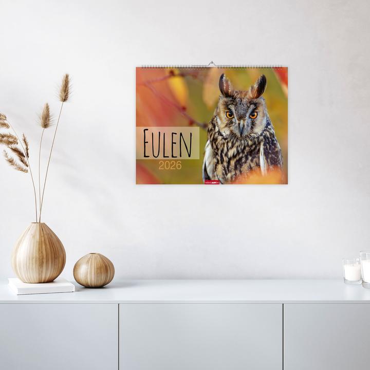 Produktbild Eulen Kalender 2026 (44 x 34 cm)