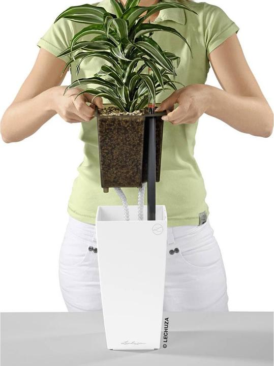 Produktbild Lechuza Mini Cubi (9.50 cm)