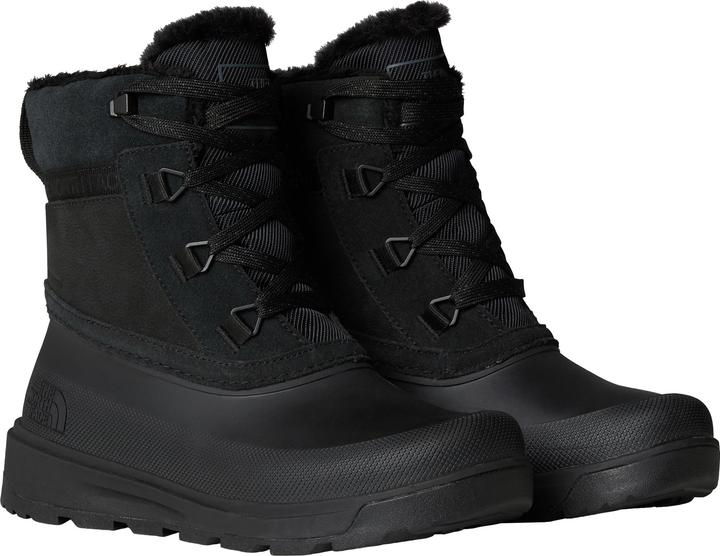 Image du produit North Face Shellista V Shorty WP (40)