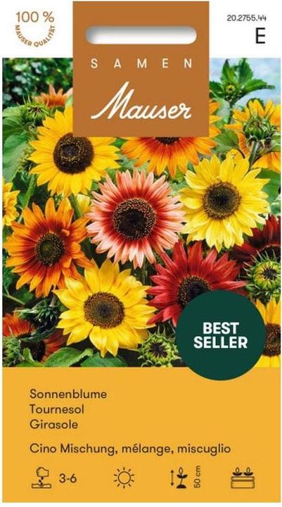 Samen Mauser Sunflower Cino blend (Plant seeds)