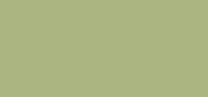 Actual product image Maybelline New York Instant Anti-Age Eraser Color Correcting (Green)