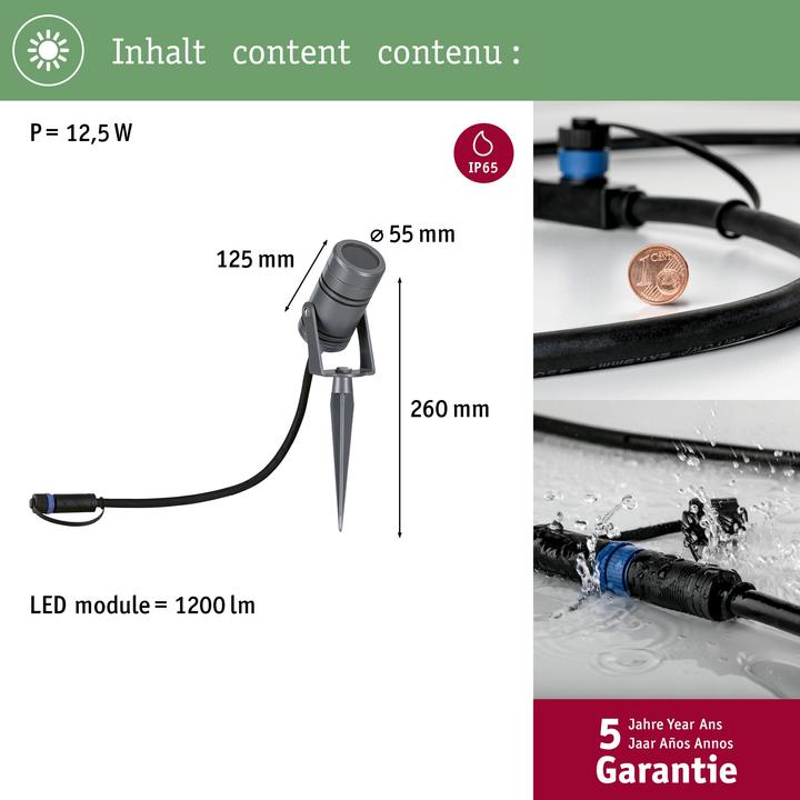 Image du produit Paulmann Plug & Shine Spot extérieur Radon (1200 lm, IP65)