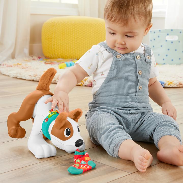 Image du produit Fisher-Price 123 Crawl With Me Puppy-DU