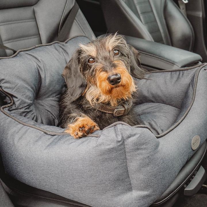 Actual product image Nobby Kadek (Dog, Washable)