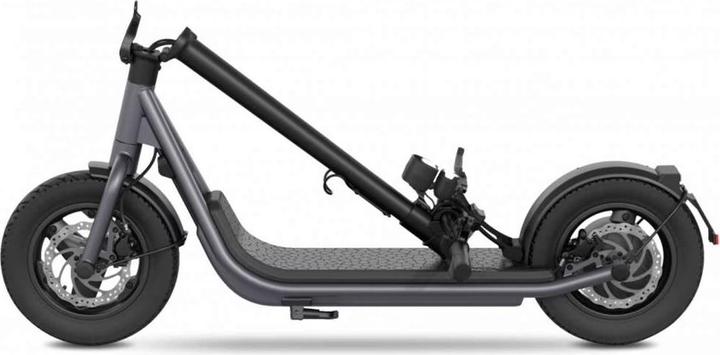 Produktbild Egret X+ (20 km/h, 60 km, 500 W)