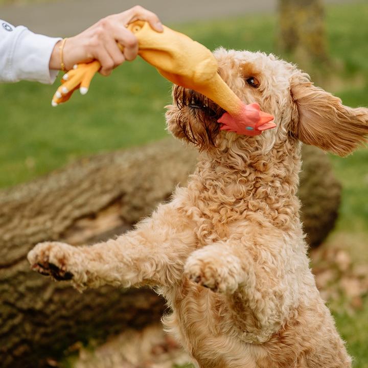 Produktbild Nobby Latex Hähnchen (Kauspielzeug Hund)