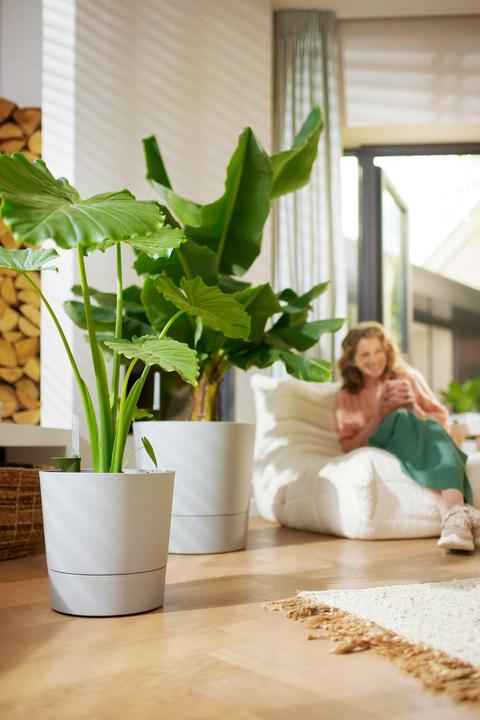 Actual product image Elho Blumenschale (30 cm)