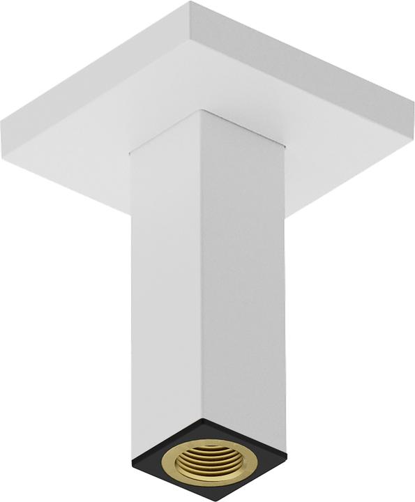 Image du produit hansgrohe raccord de plafond E, 10 cm, 24338