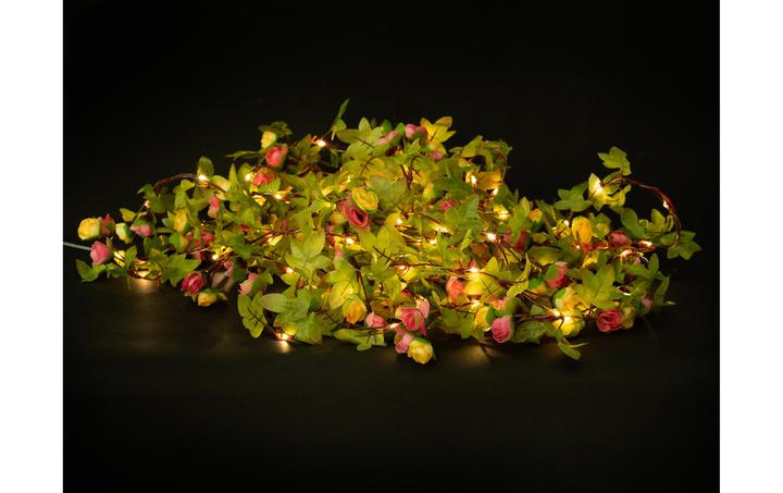 Produktbild Cocon Lichterkette LED Solar Blumen (10 m)