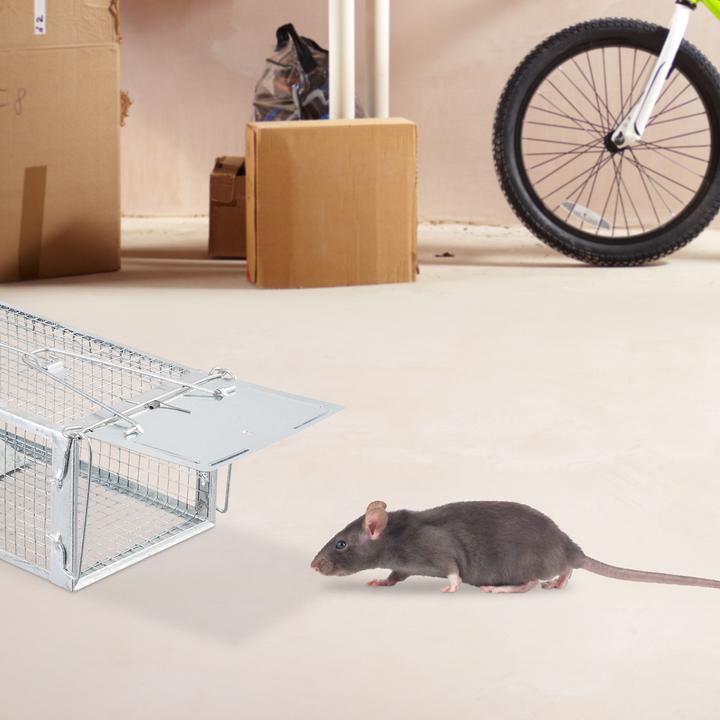 Actual product image Relaxdays Live trap