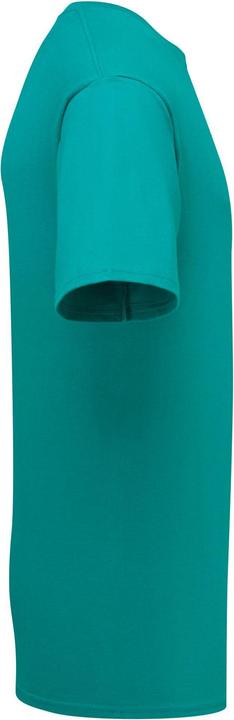 Produktbild Fruit of the Loom Iconic Premium TShirt (L)