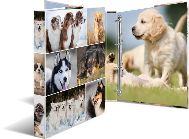 Actual product image HERMA A4 ring binder motif (A4, 35 mm, 1 pcs.)