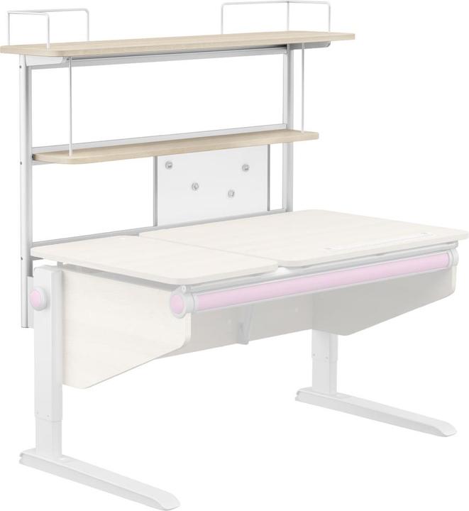 Moll Winner (116 x 28 cm)