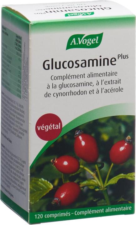Vitamine + Nahrungsergänzung