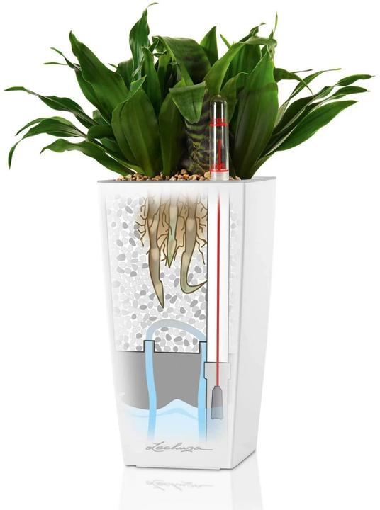 Produktbild Lechuza Mini Cubi (9.50 cm)