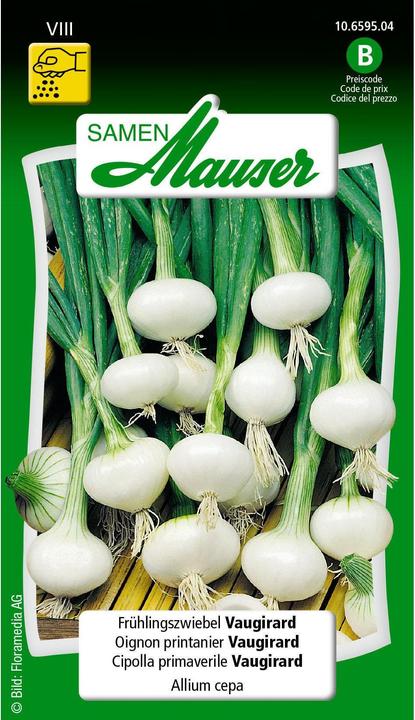 Image du produit Samen Mauser Oignon de printemps Vaugirard (Plante bulbeuse)