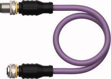 Actual product image Turck PROFIBUS cable