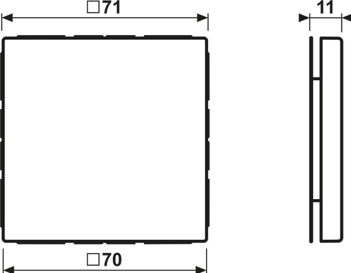Actual product image JUNG Blind plate