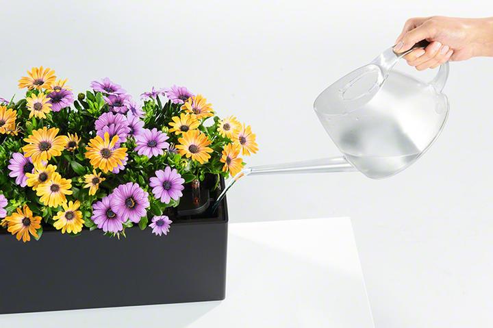 Actual product image Lechuza Balconera Color (19 cm)