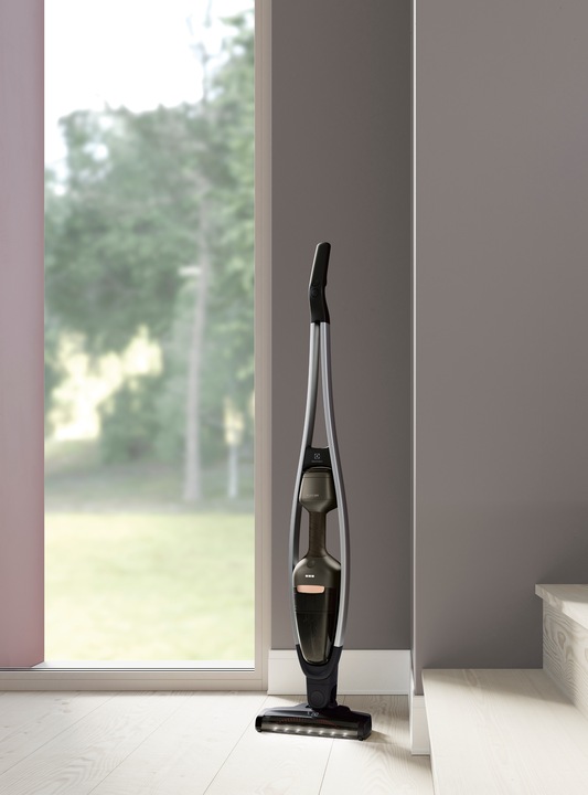 Immagine prodotto Electrolux PQ91-50MB