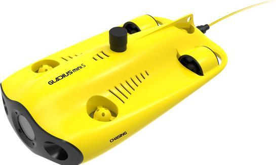 Actual product image Chasing Gladius Mini S