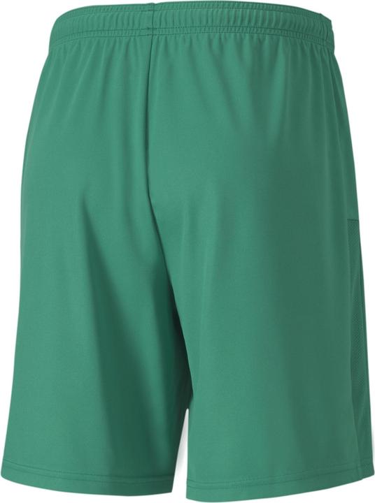 Actual product image Puma teamGOAL 23 knit shorts-704262 (S)