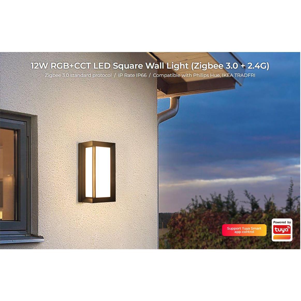 MiBoxer, Illuminazione esterna, Synergy 21 Garden Wall Washer 12W RGB+CCT 2.4G IP66 *Milight/* 24V (IP66)