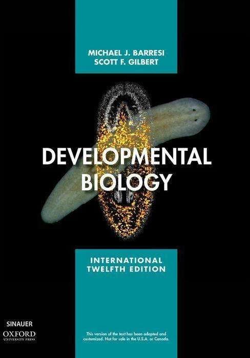 Immagine prodotto Biologia dello sviluppo (Inglese, Scott F. Gilbert, Michael J. F. Barresi, 2020)