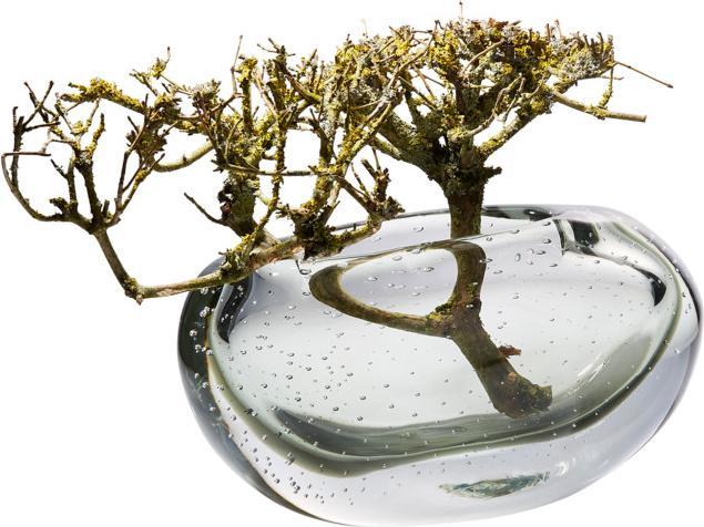 Actual product image Philippi Amara Vase - high (1x)