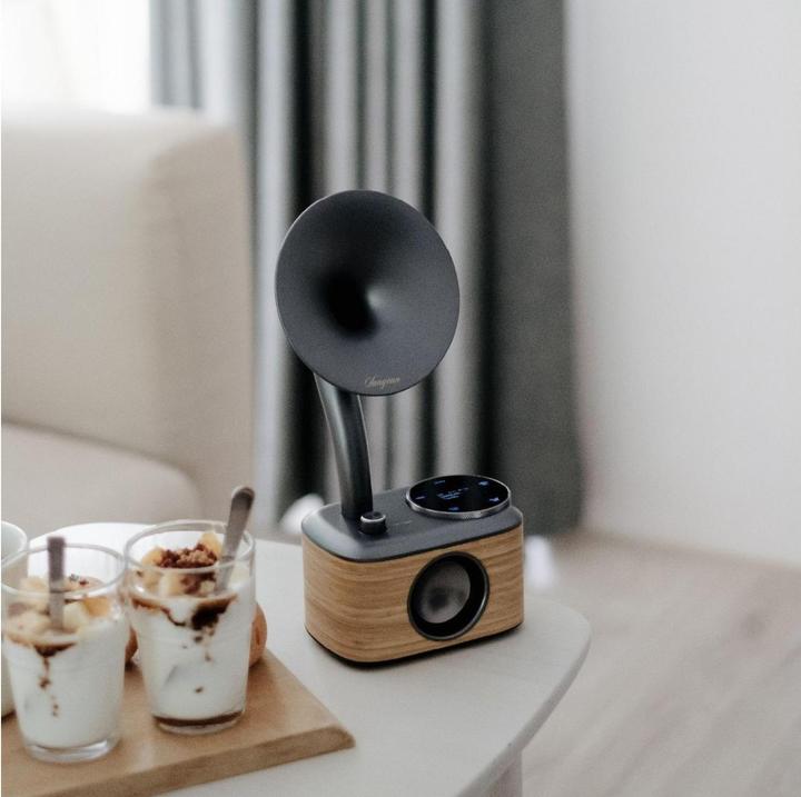 Immagine prodotto Sangean CP 100D (DAB, DAB, FM, Bluetooth)