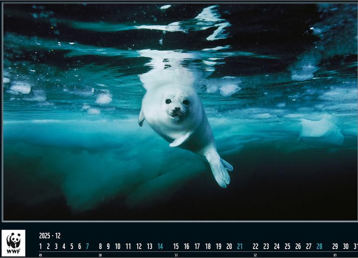 Produktbild WWF Wildlife 2025