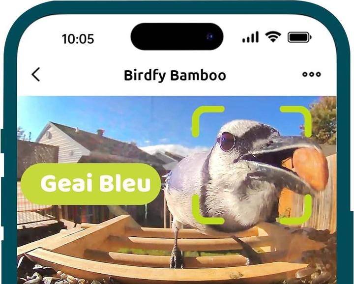 Image du produit Birdfy Mangeoire Bambou AI par Abonnement + Panneau Solaire