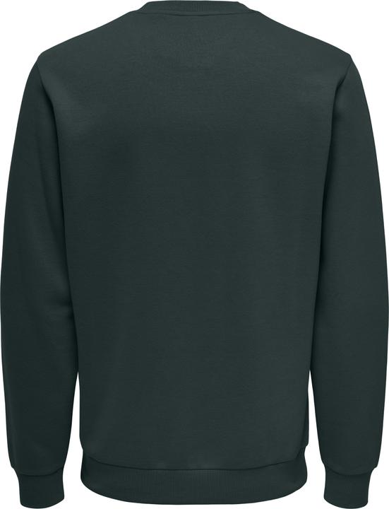 Actual product image Only & Sons Onsceres Crew Neck Noos (M)