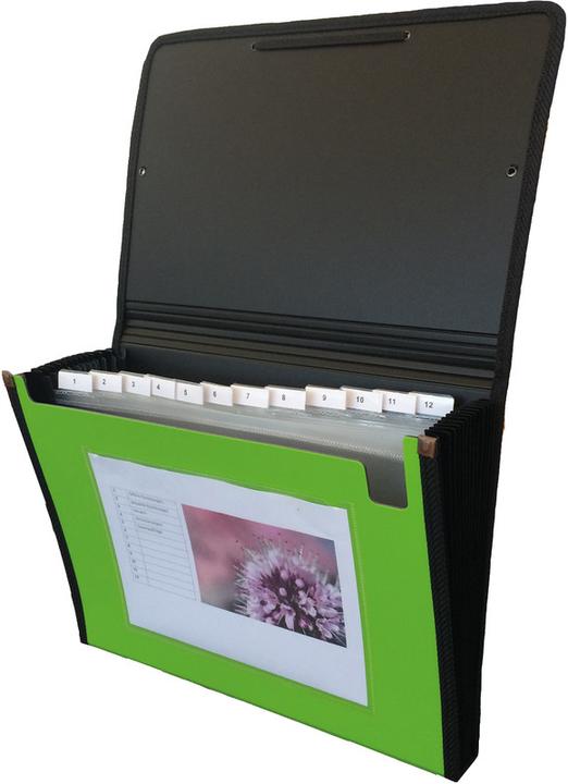 Immagine prodotto Kolma Cartella a ventaglio A4 superstrong 12 linguette verde (A4, 1 x)
